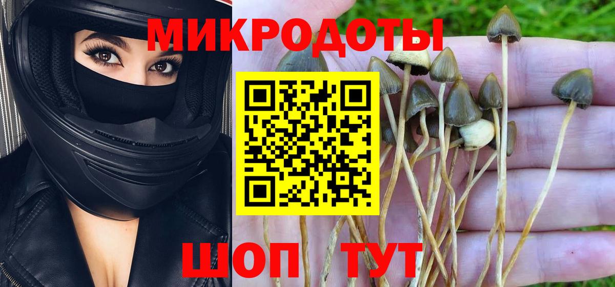 Галлюциногенные грибы MAGIC MUSHROOMS  Псилоцибиновые грибы мухоморы  Вход с VPN  Узловая 